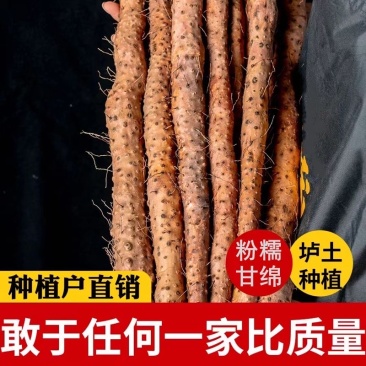 新鲜出土的铁棍山药/焦作温县产区直发/货源充足