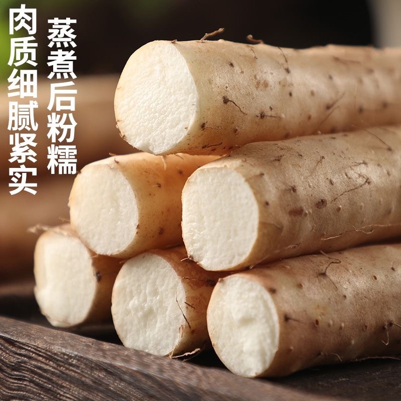 新鲜出土的铁棍山药/焦作温县产区直发/货源充足