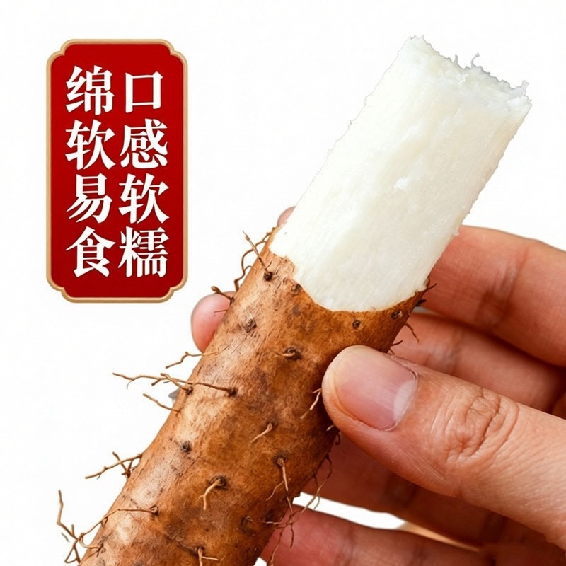 新鲜出土的铁棍山药/焦作温县产区直发/货源充足