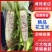 江苏精品玉米一手货源量大从优供应市场商超