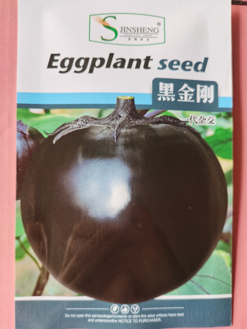 春秋长茄鸿运早茄越豪919系列紫茄子品种