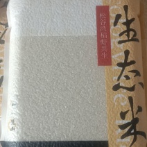 松谷湾稻虾米