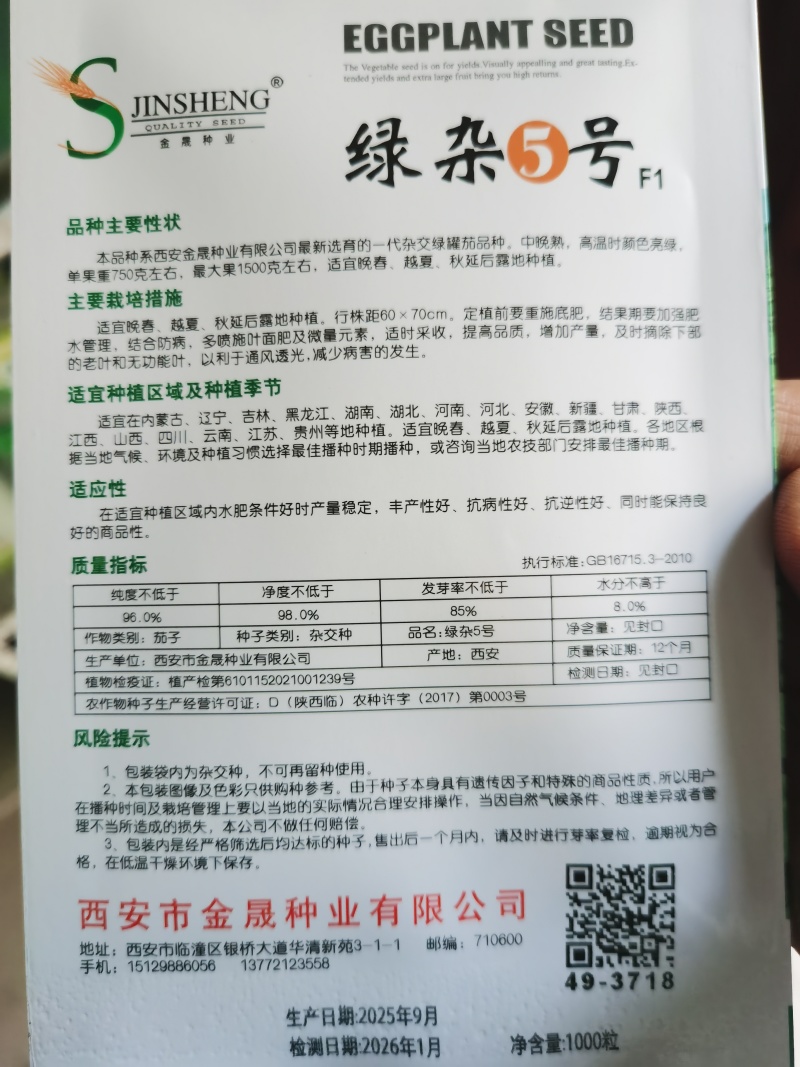 绿宝1号绿杂5号杂交茄子种籽早熟抗病高温不易发白
