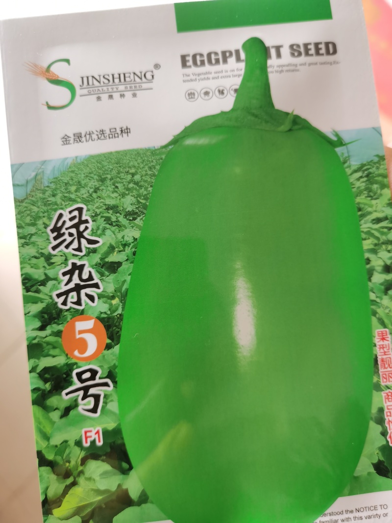 绿宝1号绿杂5号杂交茄子种籽早熟抗病高温不易发白