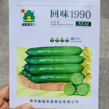 回味1990水果黄瓜种子强雌性口感型黄瓜种子甜嫩清香肉绿