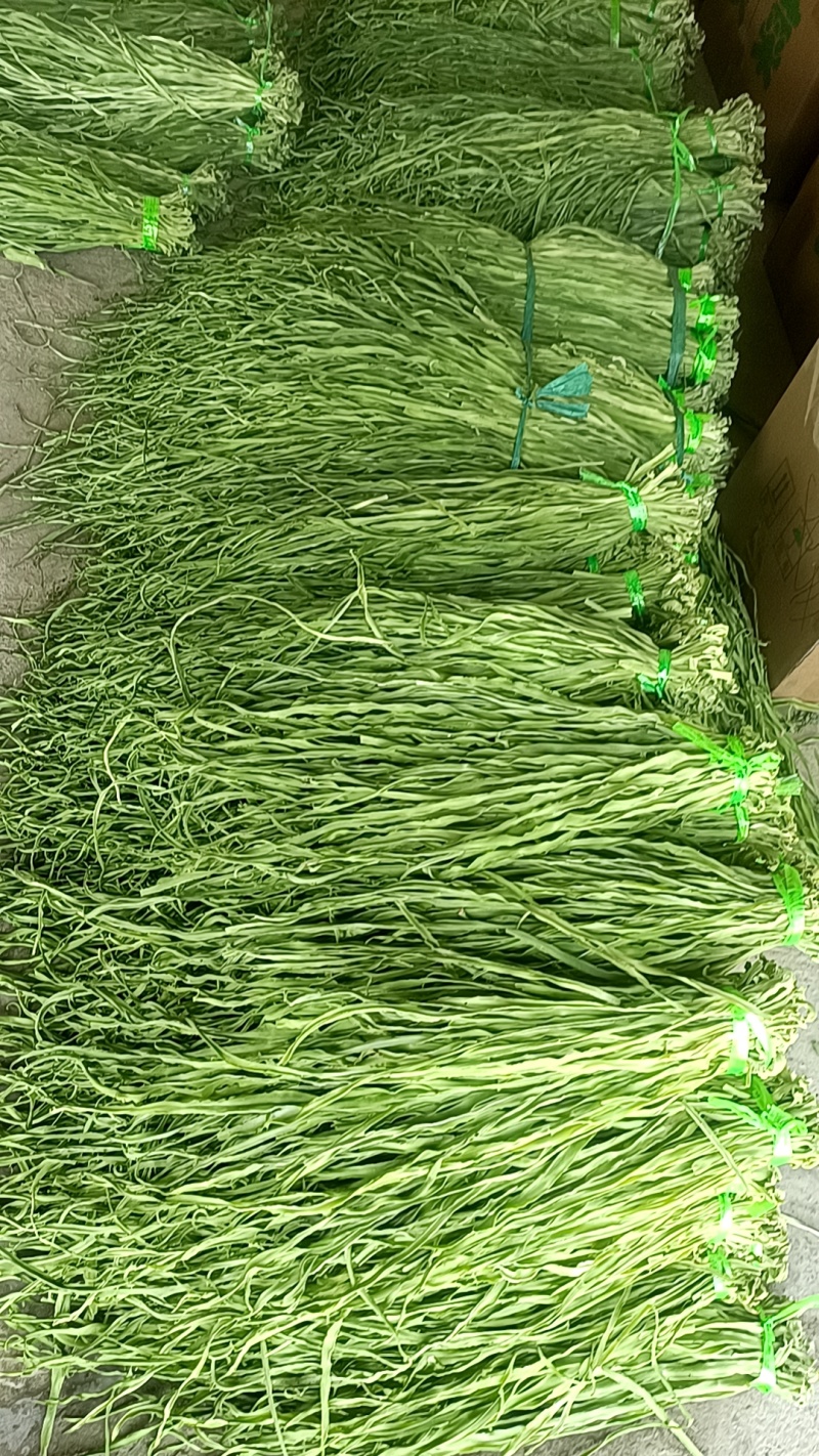 贡菜