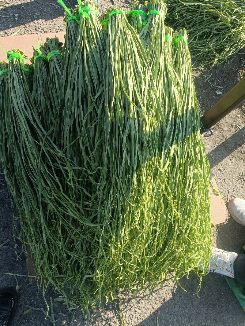 贡菜