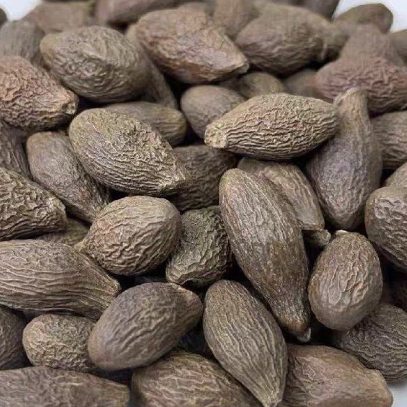 胖大海正品无硫易泡水泡茶精选好货实物拍摄