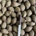 胖大海正品无硫易泡水泡茶精选好货实物拍摄