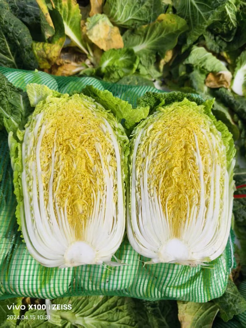 云南精品娃娃菜