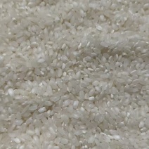 品质保证/稻花香大米/自产自销/口感细糯/欢迎老板咨询