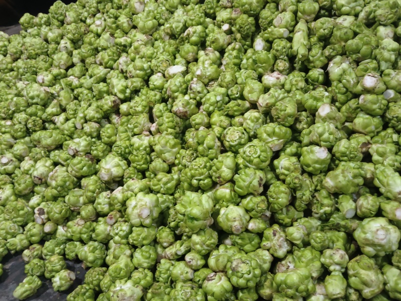榨菜