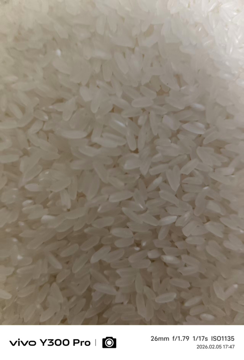 品质保证/稻花香大米/自产自销/口感细糯/欢迎老板咨询