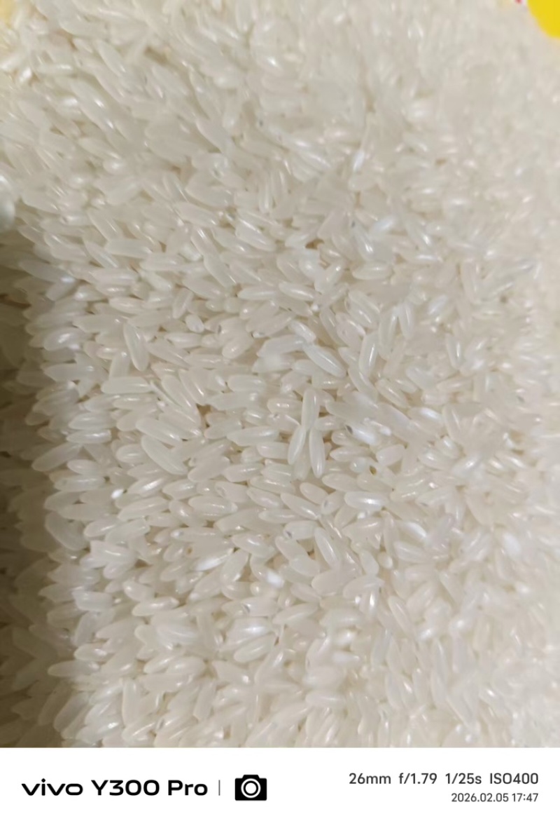 品质保证/稻花香大米/自产自销/口感细糯/欢迎老板咨询