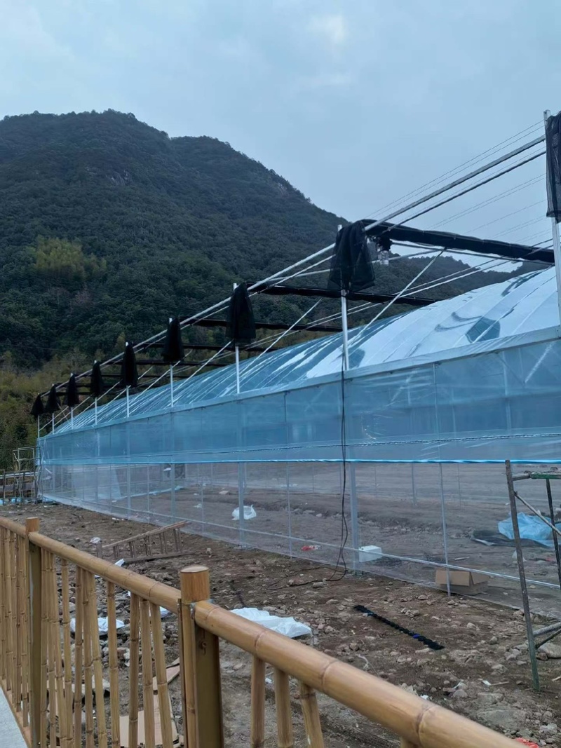专业生产各种规格连栋温室大棚材料齐全包建