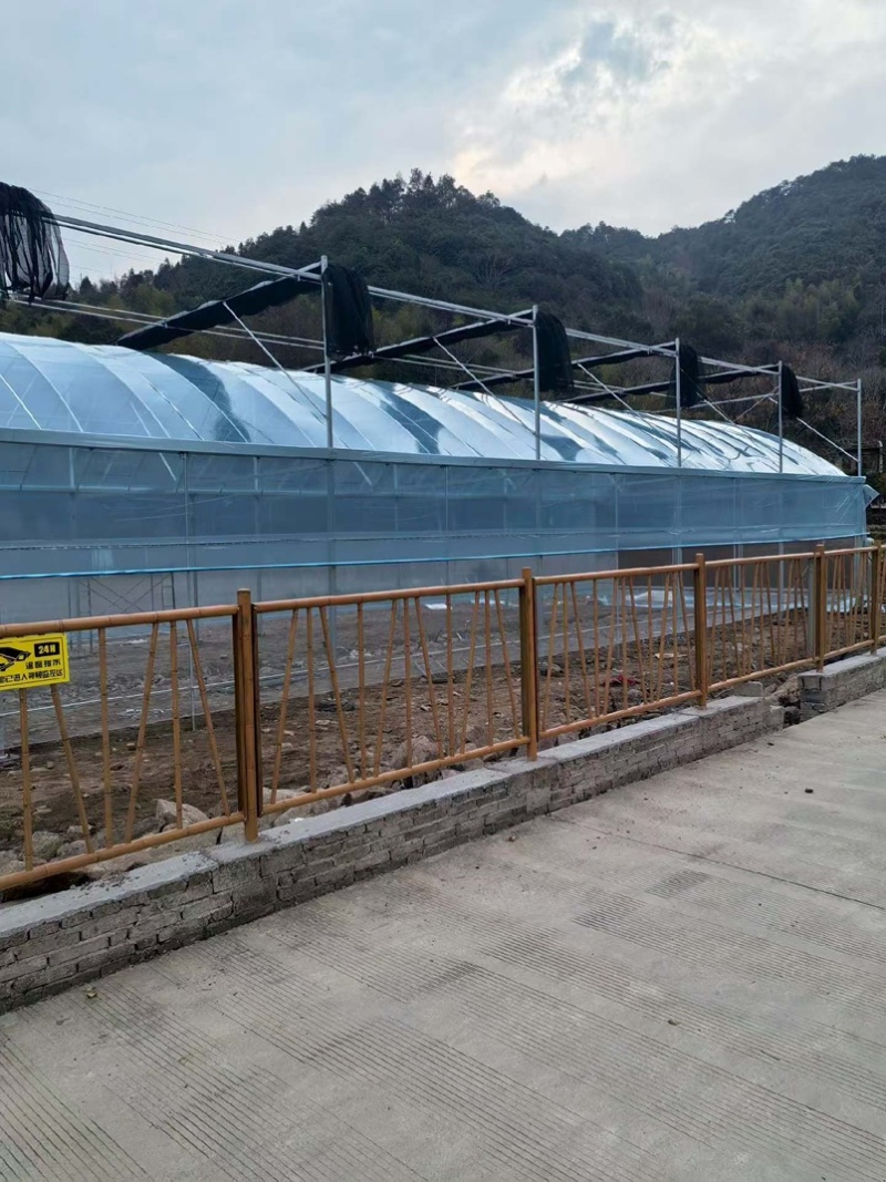 专业生产各种规格连栋温室大棚材料齐全包建