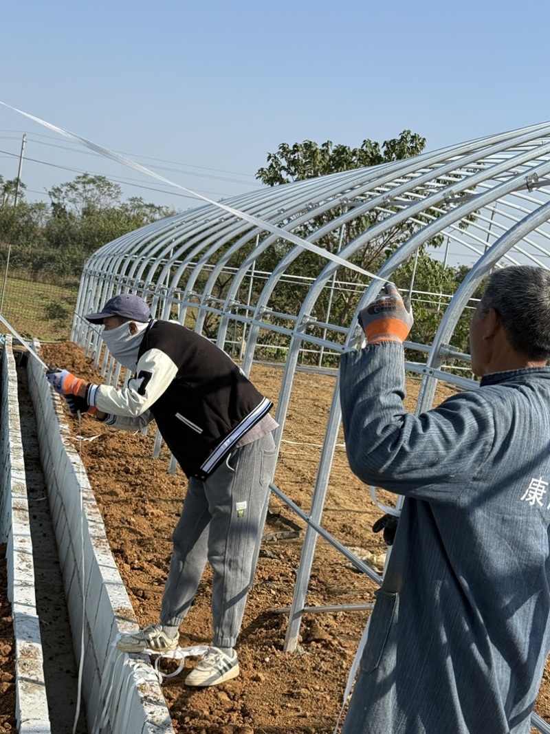 专业生产各种规格连栋温室大棚材料齐全包建