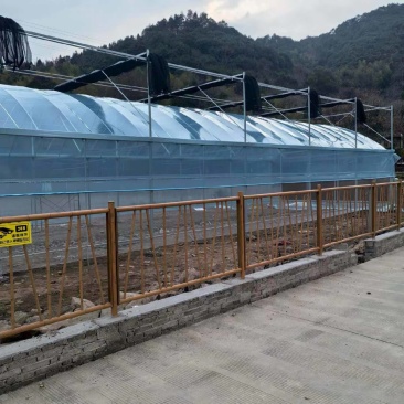 直销蔬菜种植大棚花卉温室尺寸齐全全国发货