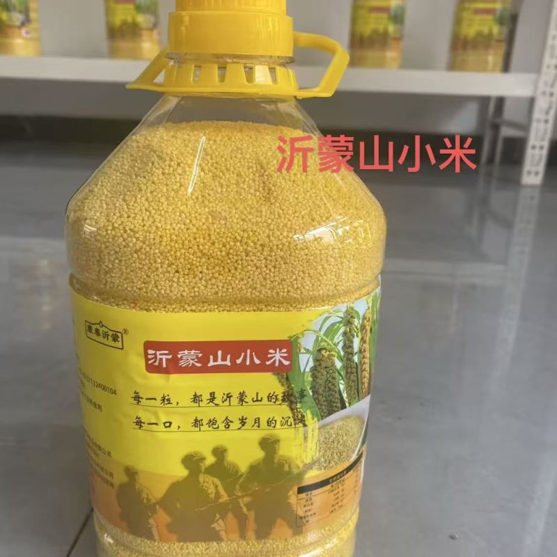 沂蒙山新小米营养常温储藏月子黄米