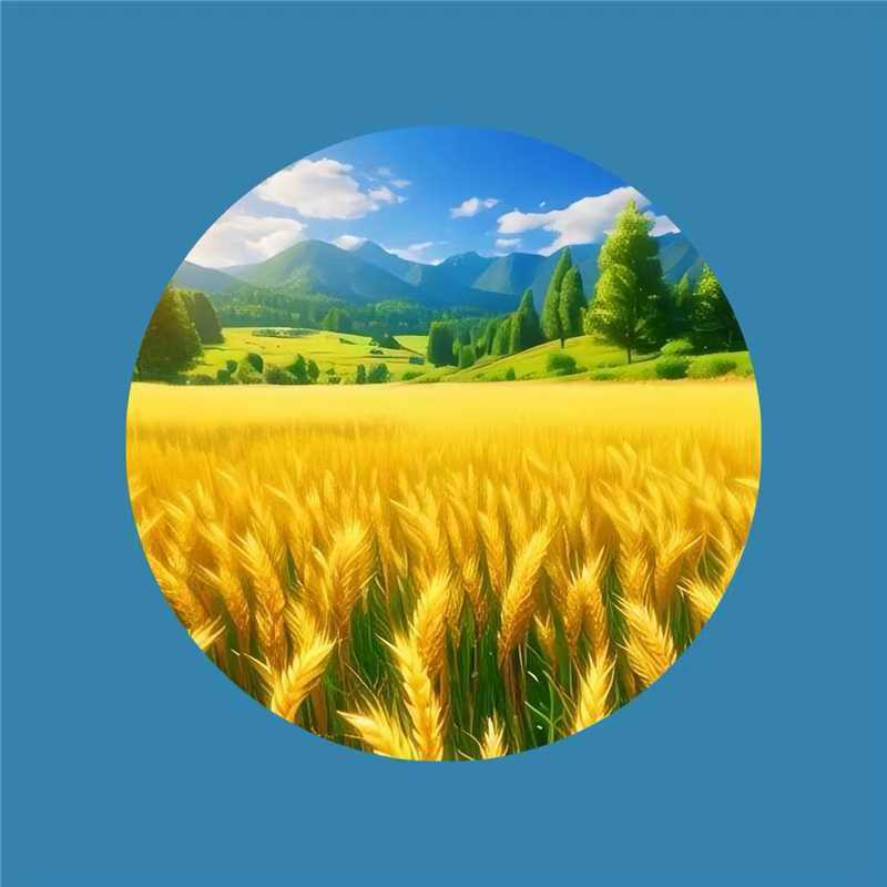沂蒙山新小米营养常温储藏月子黄米