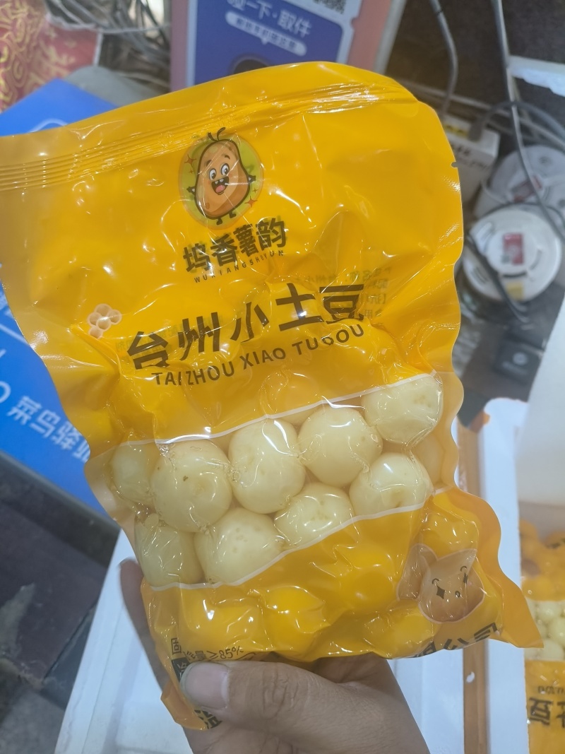 温岭坞根迷你小土豆