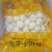 温岭坞根迷你小土豆