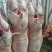 甘肃新鲜羊胴体羊肉对接全国市场价格美丽走货快质量好热卖中