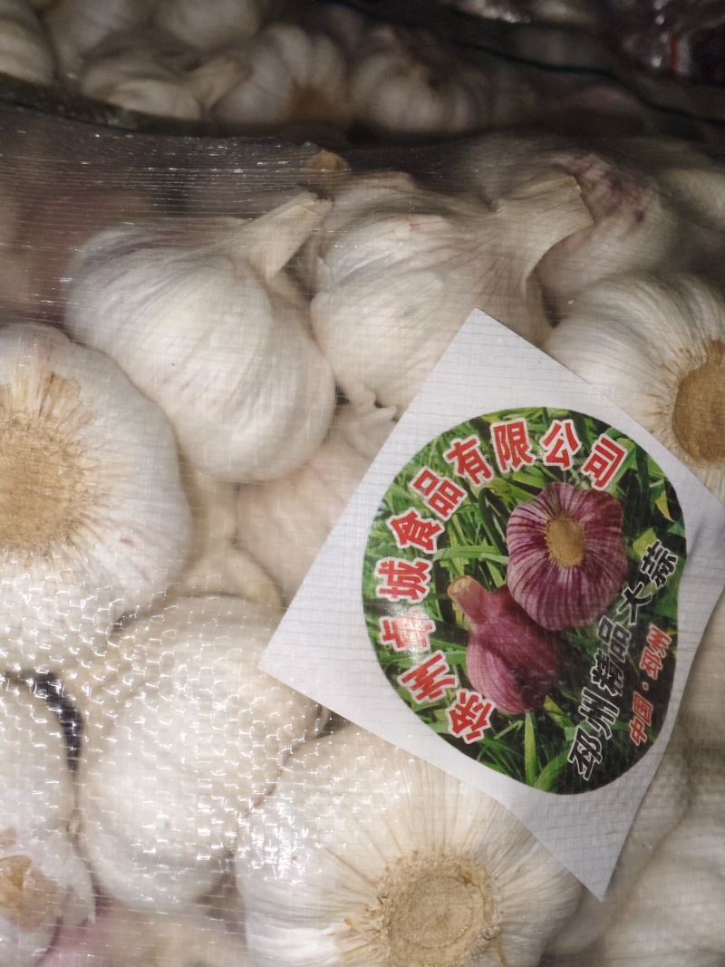 邳州精品大蒜大量供应产地直发价格优惠欢迎来电洽谈