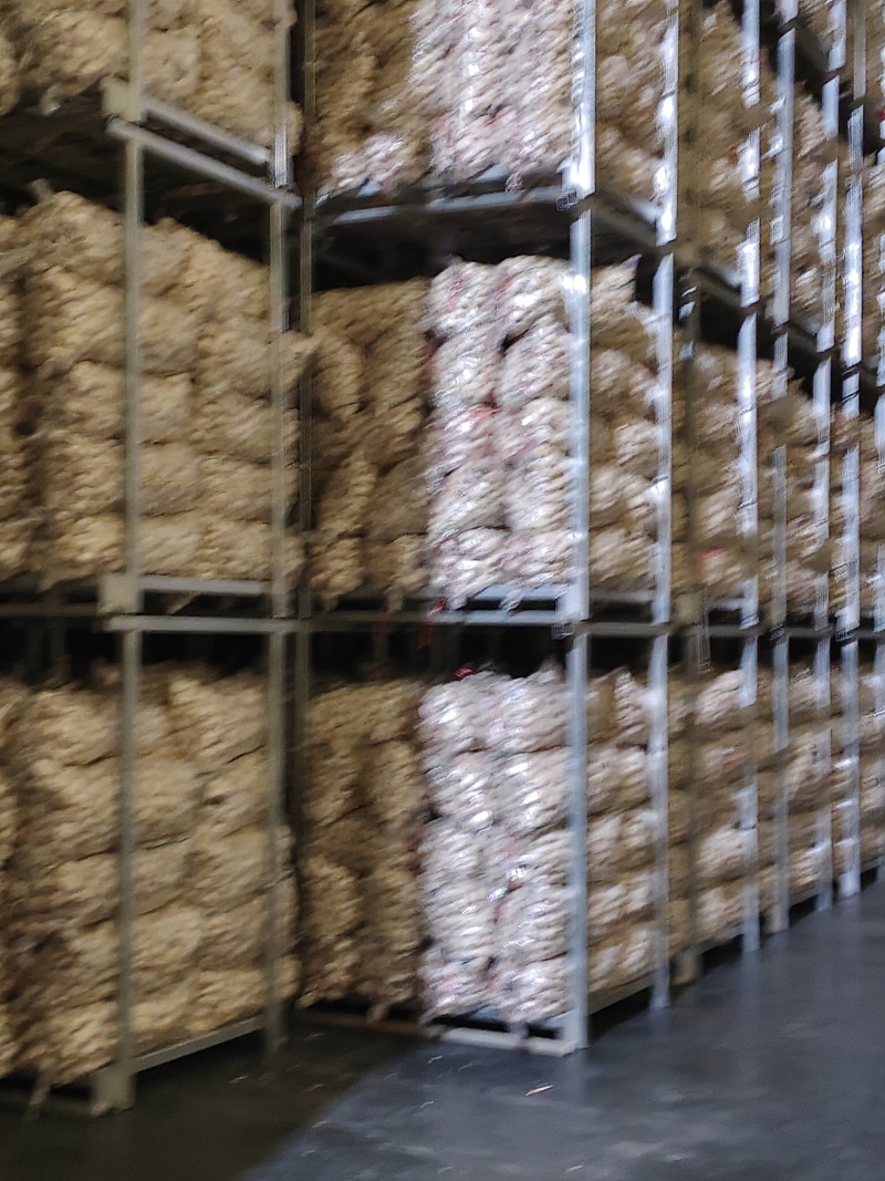 邳州精品大蒜大量供应产地直发价格优惠欢迎来电洽谈