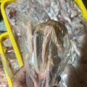 二级格子
