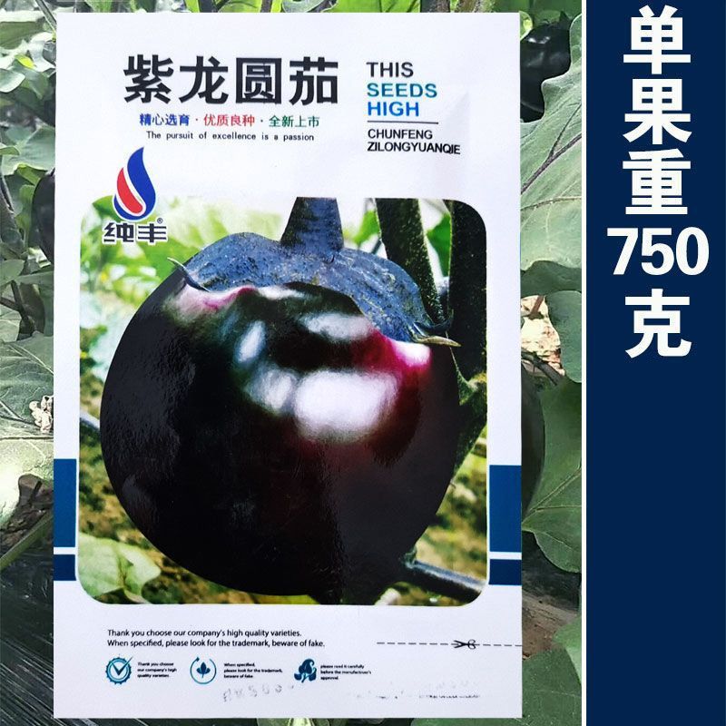 福满多圆茄子种子特大圆茄种籽紫黑圆茄籽少肉厚易种四季蔬菜