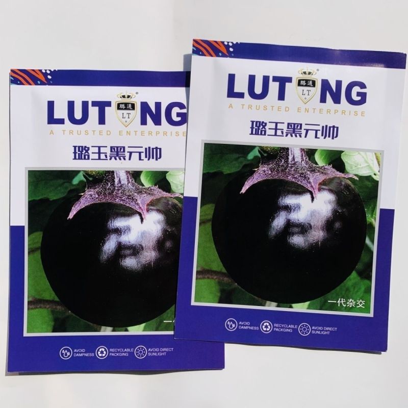 福满多圆茄子种子特大圆茄种籽紫黑圆茄籽少肉厚易种四季蔬菜