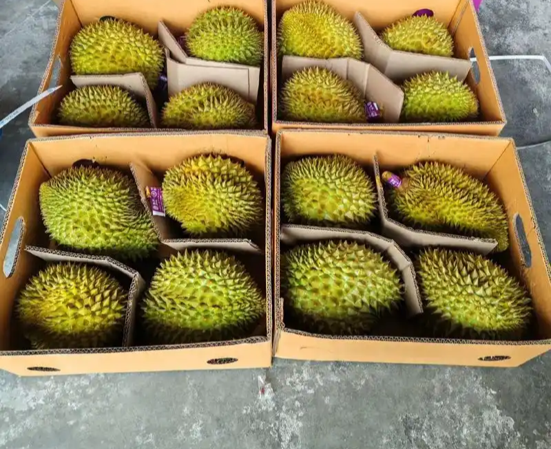 金枕榴莲一手批发价格，坏果包赔
