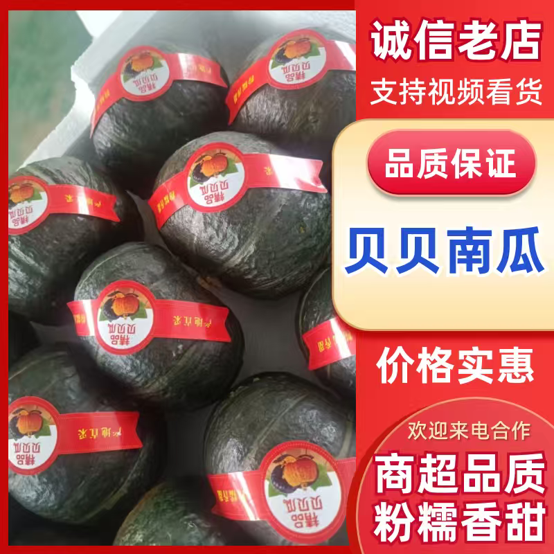 山东贝贝南瓜，质量保证，价格优惠，产地一手货源