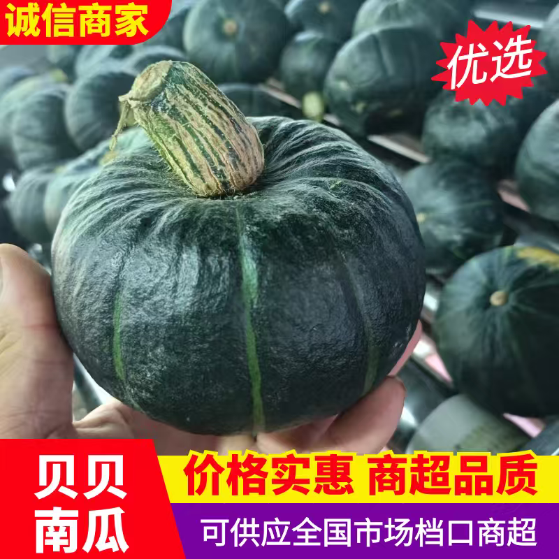 山东贝贝南瓜，质量保证，价格优惠，产地一手货源