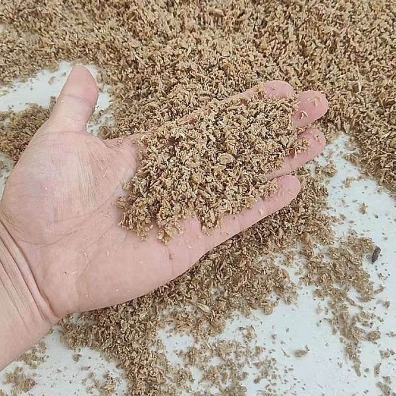 批发吨量新鲜啤酒糟种花钓鱼热敷喂鸡鸭牛羊鱼有机肥料酒糟