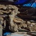 纯正野生山药