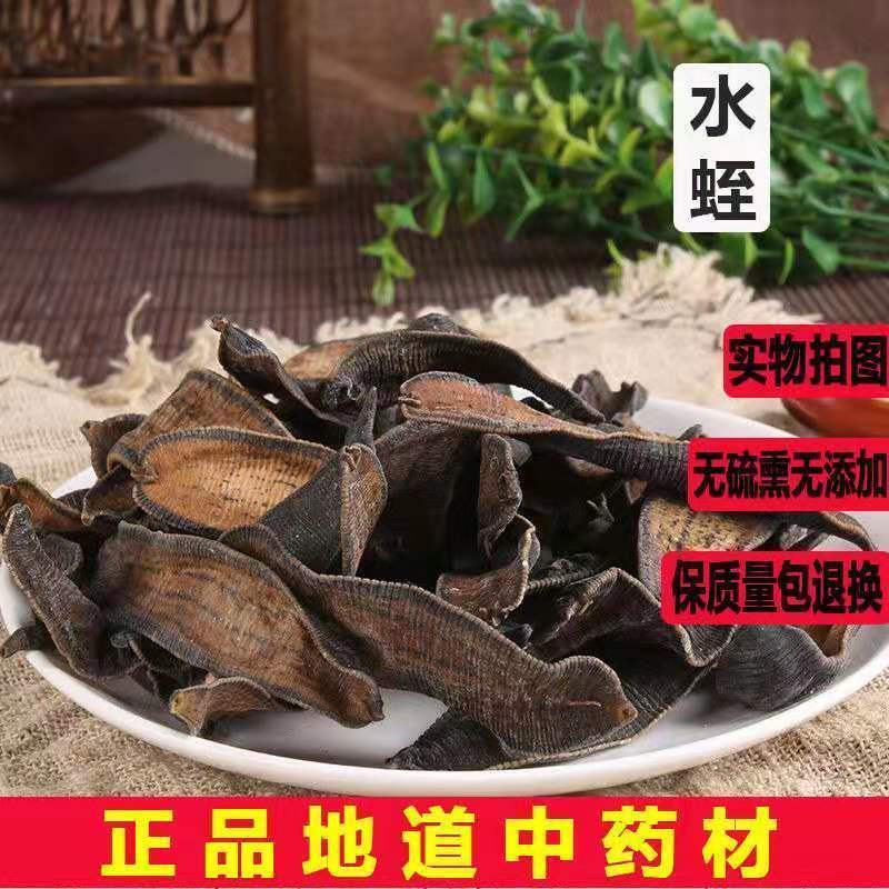 中药材蚂蟥水蛭干货金边水蛭无盐无矾水蛭粉正品清水吊干批发
