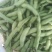 新鲜蚕豆