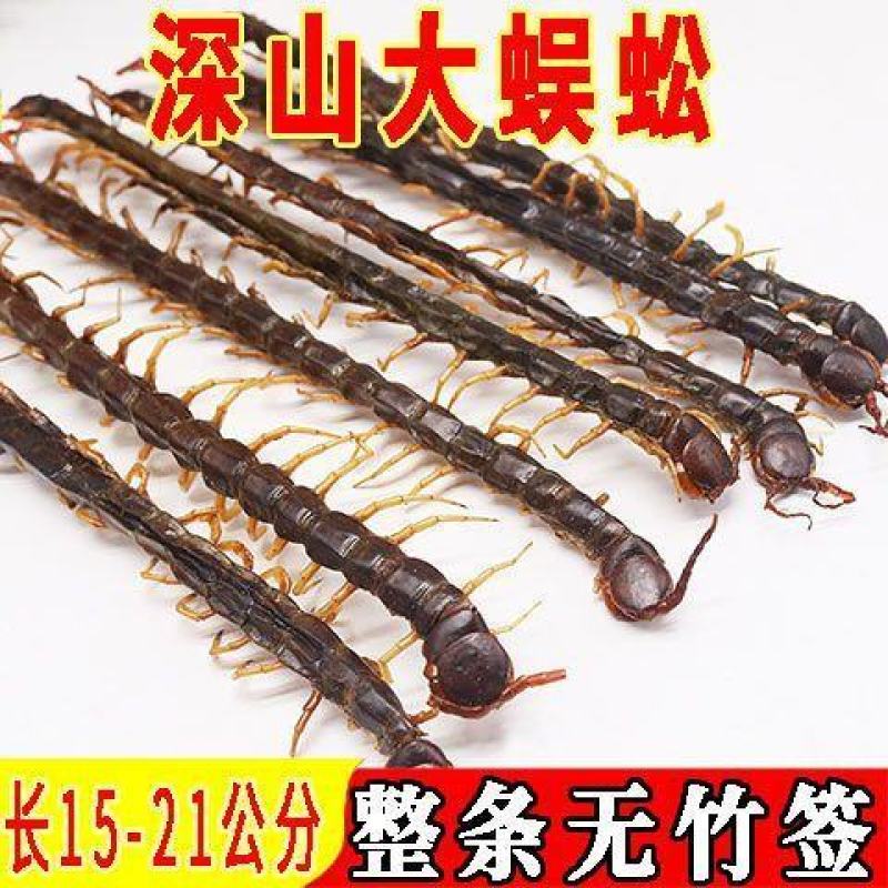 蜈蚣农产品蜈蚣皮特大条蜈蚣干整条无竹签蜈蚣肉蜈蚣粉中药材