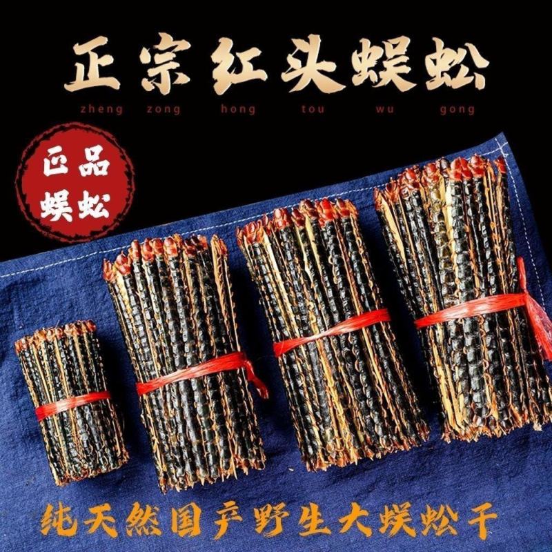 蜈蚣农产品蜈蚣皮特大条蜈蚣干整条无竹签蜈蚣肉蜈蚣粉中药材