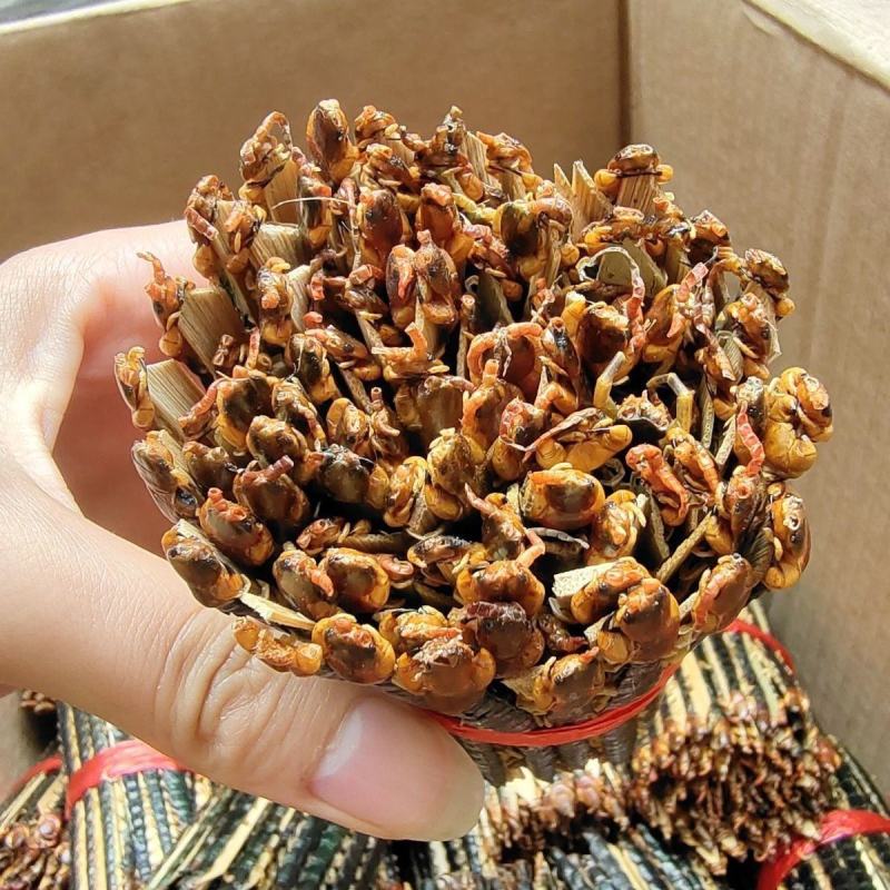 蜈蚣农产品蜈蚣皮特大条蜈蚣干整条无竹签蜈蚣肉蜈蚣粉中药材