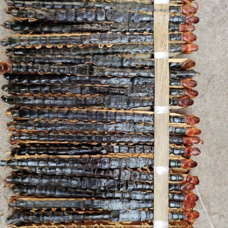 蜈蚣农产品蜈蚣皮特大条蜈蚣干整条无竹签蜈蚣肉蜈蚣粉中药材
