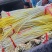 〔优选〕山东蒜黄头茬精品蒜头黄产地现割现发货质量保证对接