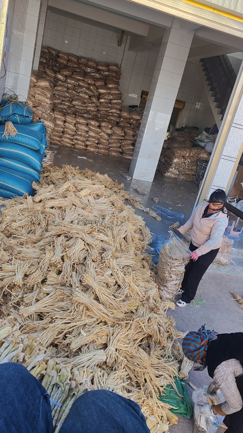 云南高山萝卜条，严控品质，中短粗细条都有货，欢迎咨询联系