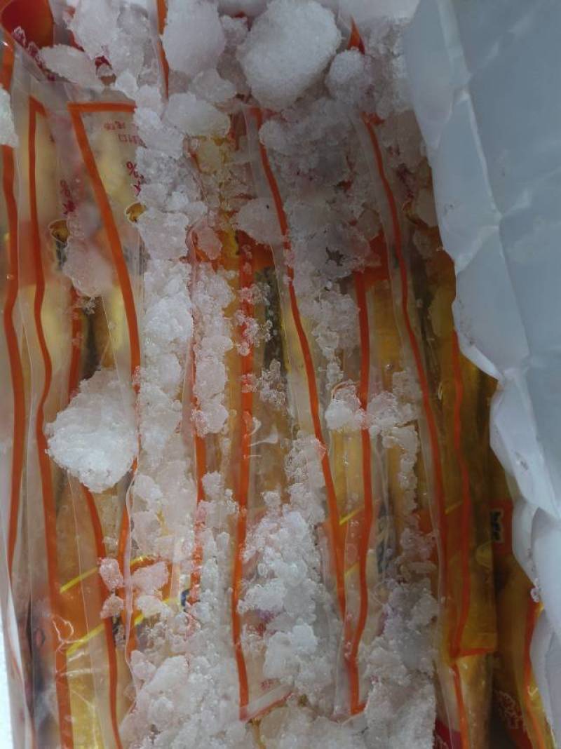 外海网箱黄鱼500g/55元，不包邮费