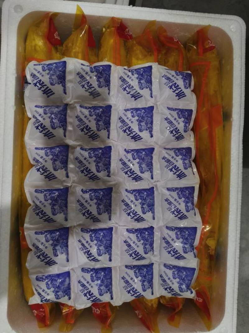 外海网箱黄鱼500g/55元，不包邮费