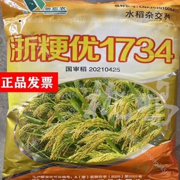 批发杂交水稻种子浙粳优1734圆粒杂交粳稻优质高产抗倒