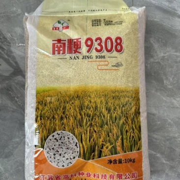 圆粒珍珠香米水稻种子南粳9308优质高产抗倒