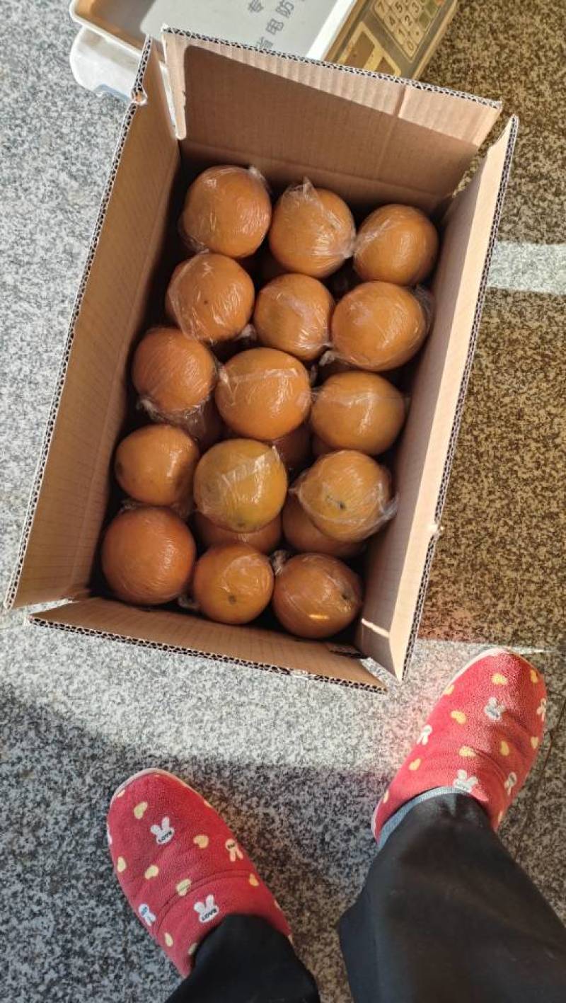 红心脐橙都是大果子，20斤起下单，包邮
